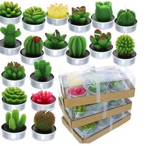 18 Pcs Succulent Cactus Candles No Repeat Style, Delicate Smokeless